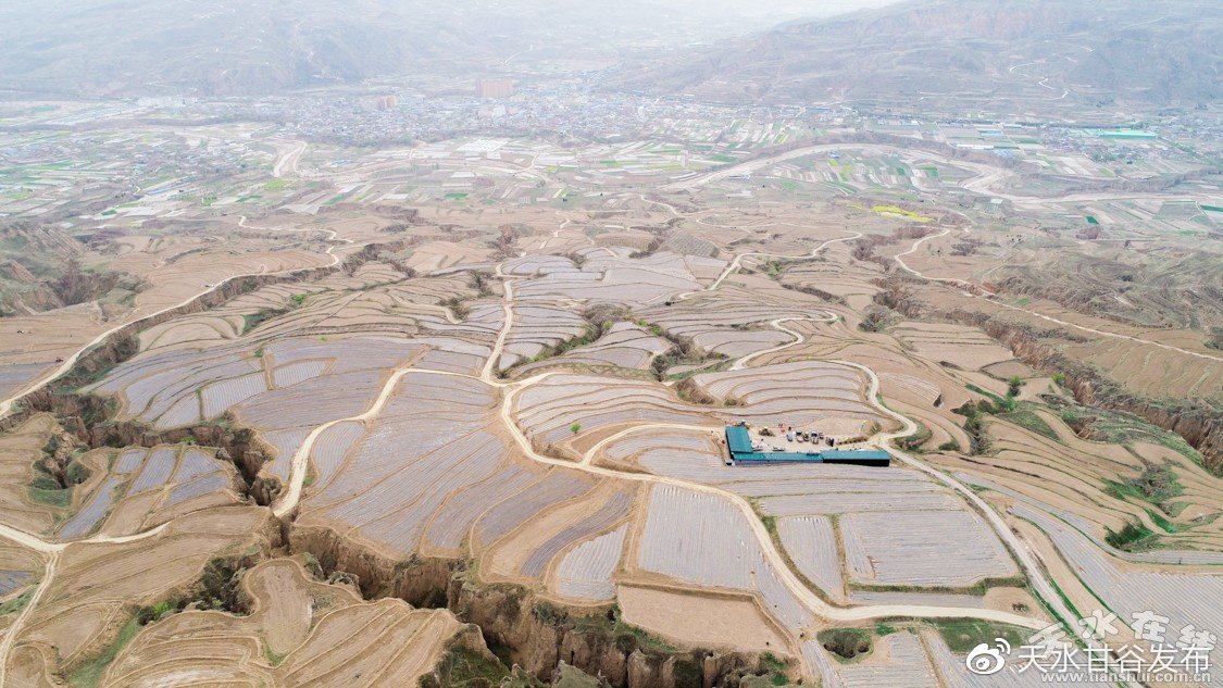 毛新宇说网友称爷爷为教员贴切